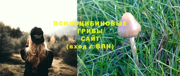 скорость Бородино