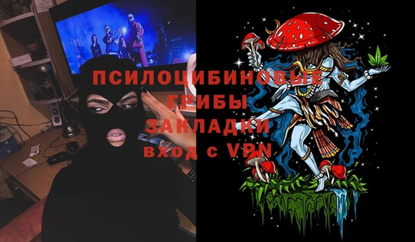 скорость Бородино