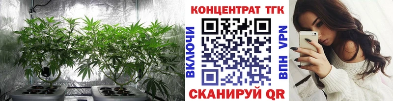 ТГК Wax  где купить наркоту  Медногорск 