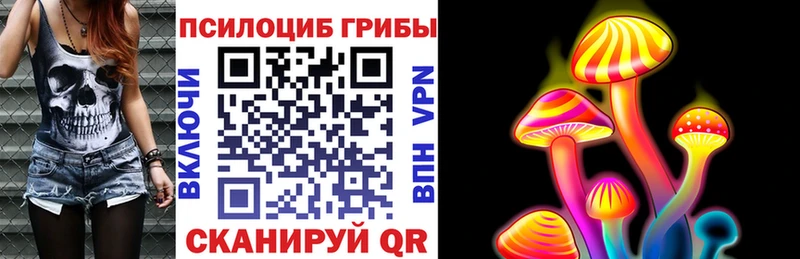 кракен как зайти Медногорск Псилоцибиновые грибы Psilocybine cubensis