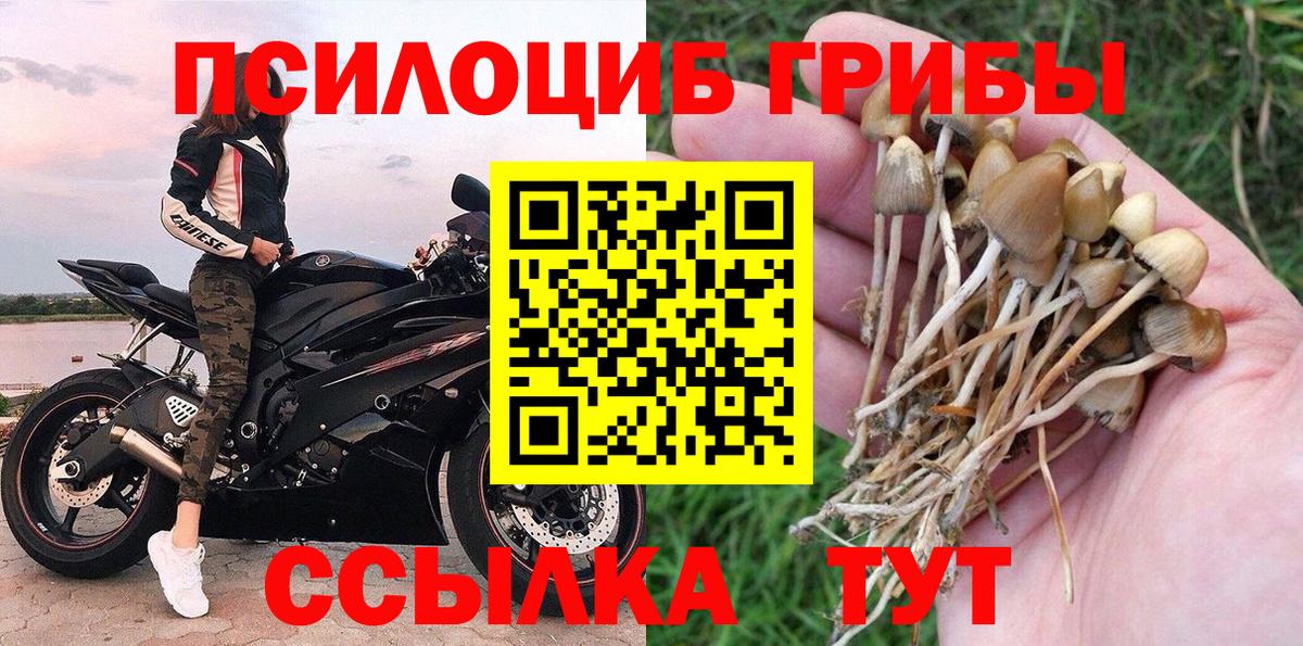 Галлюциногенные грибы MAGIC MUSHROOMS Медногорск