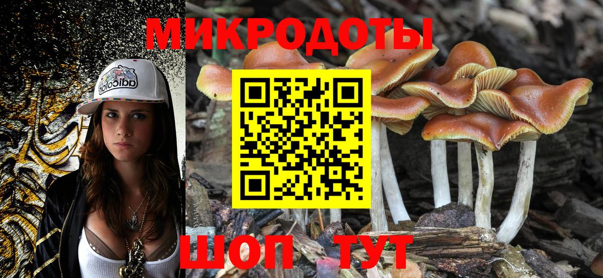 Псилоцибиновые грибы Cubensis  Вход с VPN  Медногорск  Псилоцибиновые грибы GOLDEN TEACHER 